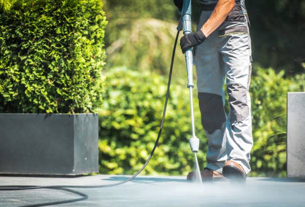 Best Building Exterior Washing  in Walden, TN