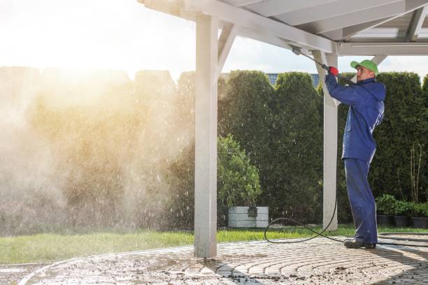 Best Concrete Sealing  in Walden, TN