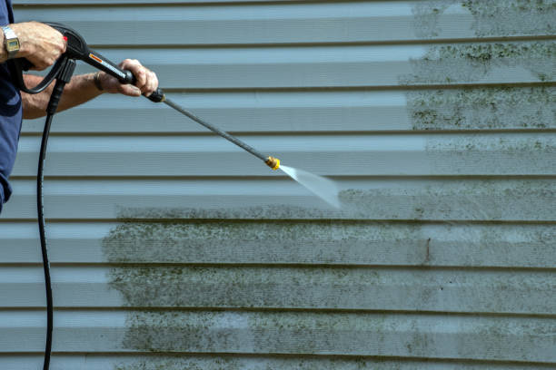 Best Dumpster Area Cleaning  in Walden, TN